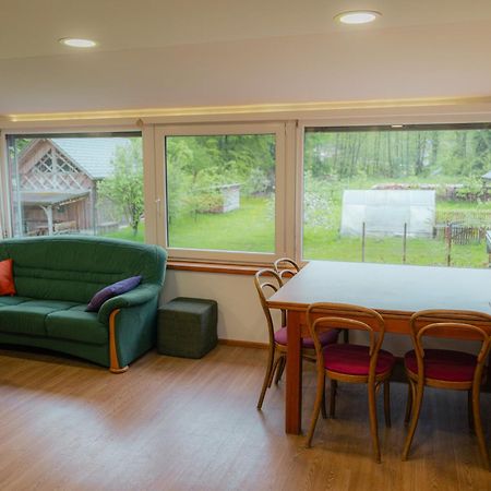 Country Retreat, Near Ljubljana City, Apartma Na Vasi, Blizu Mesta Ljubljana Appartement Medvode Buitenkant foto